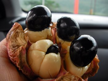 a close up of the ackee fruit