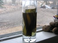 seaweed in water expands