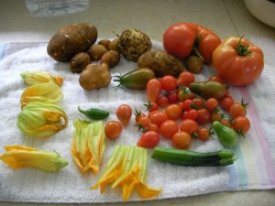 veggies from my garden