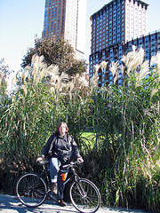 Me on my bike in front of some huge grasses
